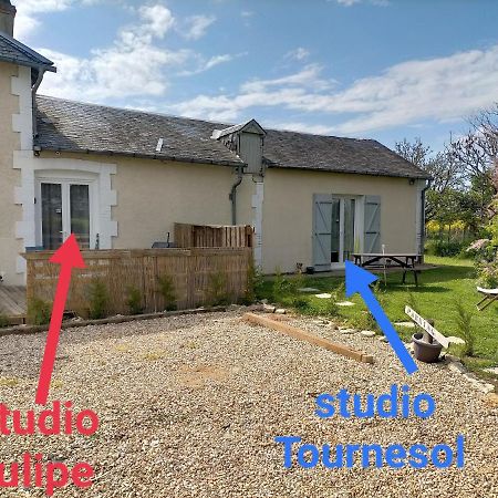 Studio " Tournesol " Au Coeur Du Berry Les Bordes Exteriör bild