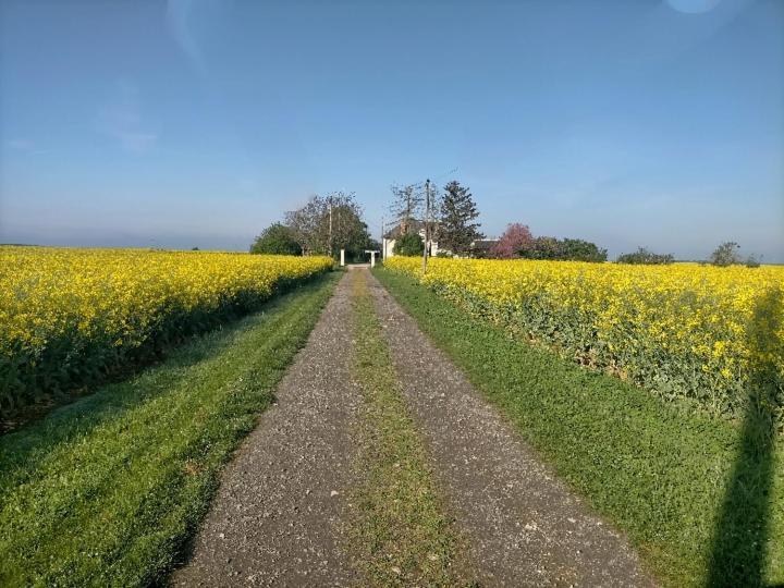 Studio " Tournesol " Au Coeur Du Berry Les Bordes Exteriör bild